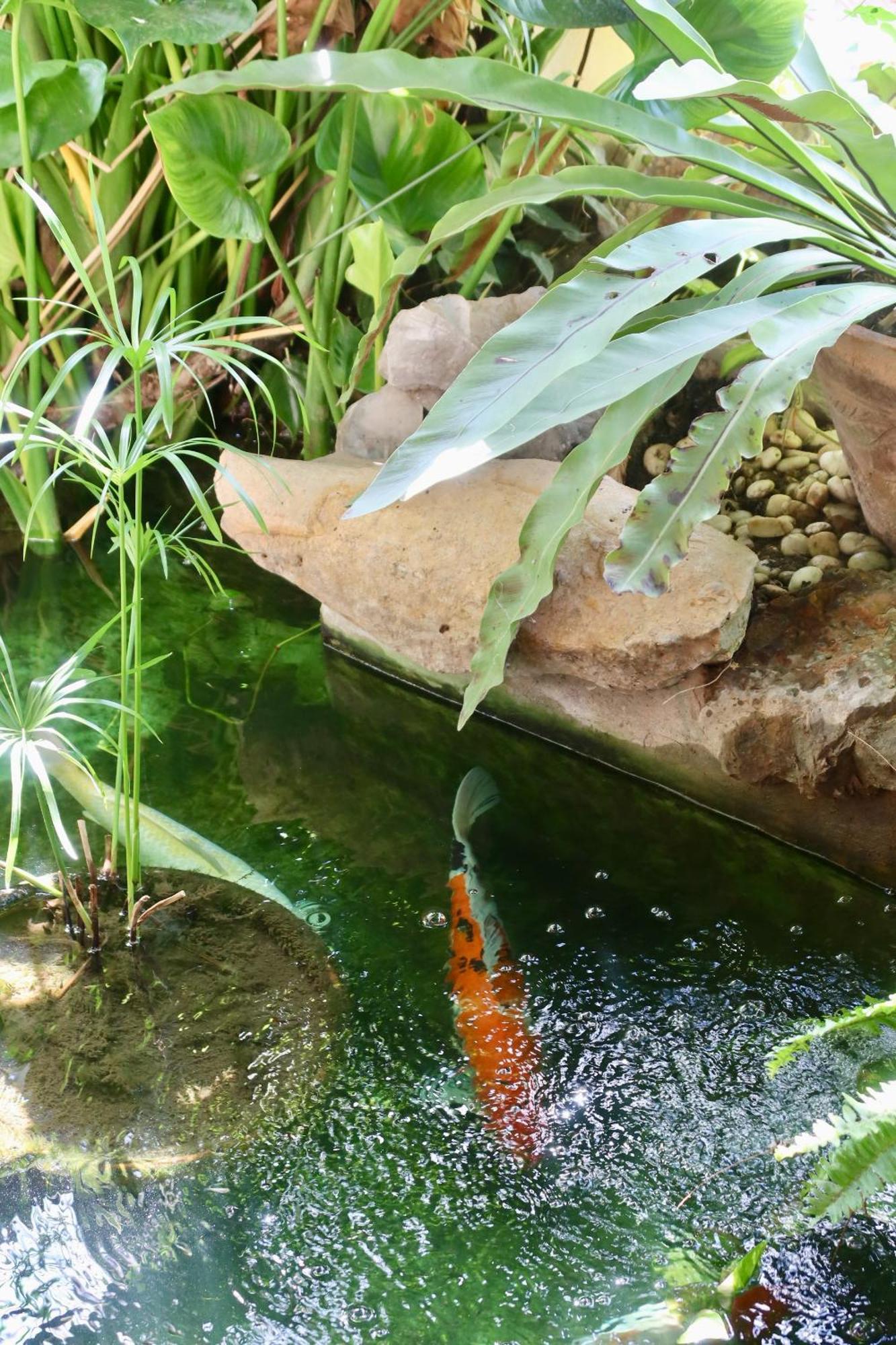 Banjai Garden Guesthouse 치앙마이 외부 사진